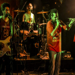 RIDDIM: El reggae que se apropia de cualquier público