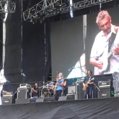 RICARDO SOULÉ en Cosquín Rock: “Ritmo y blues montañoso”