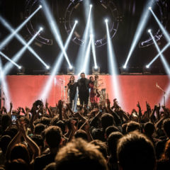 ERUCA SATIVA: “Vine a encontrarme de nuevo con vos”