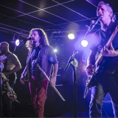 ARBOLITO: “Para no olvidarse de las raíces”