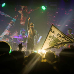 ZONA GANJAH: “Rastafari avanza”