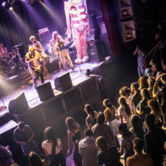 EL PLAN DE LA MARIPOSA: “Nosotros ponemos todo arriba y ustedes hacen lo mismo alla abajo”