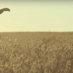 PATAGONIA REVELDE: “Somos una banda de laburantes”