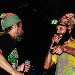 TODOS TUS MUERTOS: ” 30 años de rock, punk y reggae en una noche”