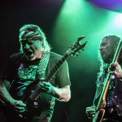 “PANIC ROCK a plena luz del día”