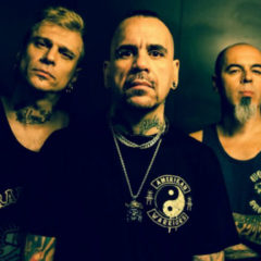 A.N.I.M.A.L: “Vuelve al ruedo”