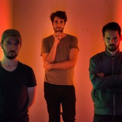 Proyecto Vogel prepara nuevo álbum
