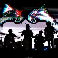 SUEÑO DE PESCADO: “Esperando agitar canciones desde hace tantos años”