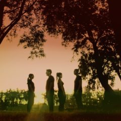 Delaire saco nuevo tema