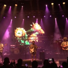 LOS ESPIRITUS: “Fiesta en Flores”