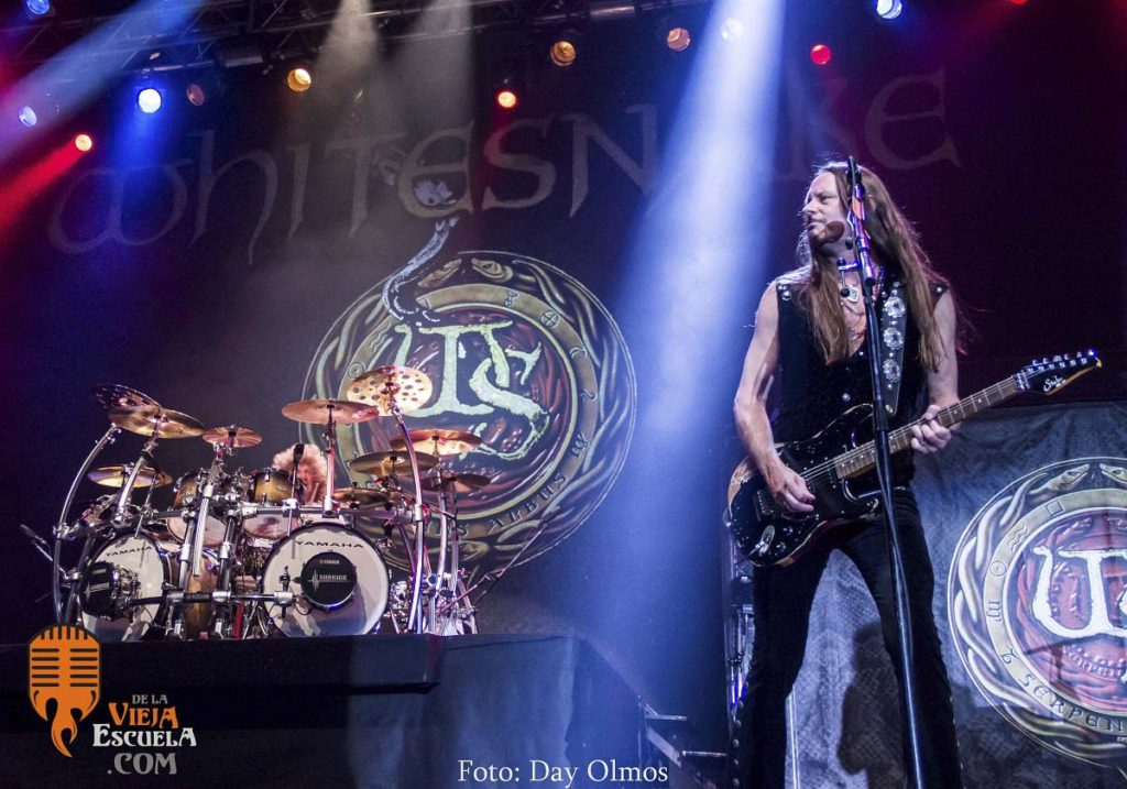 Whitesnake