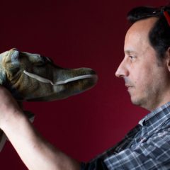 Francisco Bochaton presenta “Ropa de animal”