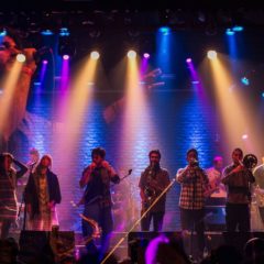 ROOTMENT presenta “Despierta”