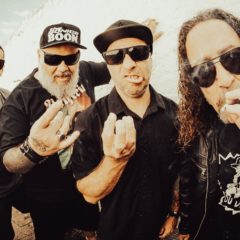 RATOS DE PORAO en Argentina