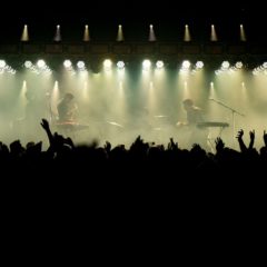 PECES RAROS suma una nueva función en Obras