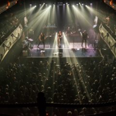 TARJA brillo en Córdoba