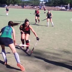 Ya tenemos los cuatro semifinalistas del torneo