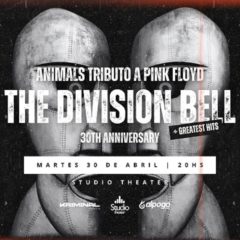 Animals presenta “The Division Bell”