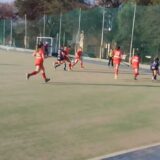 Hockey: Victoria tricolor