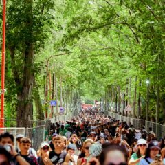 Cosquín Rock: El turismo tuvo un impacto histórico