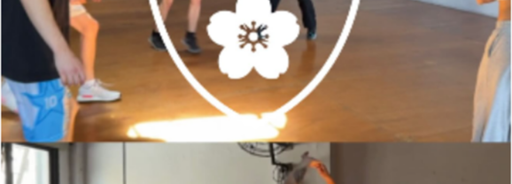 Bresh lanza Bresh Academy