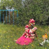 Aterciopelados presenta “La Teta Pirata” , un canto a la enfermedad como oportunidad creativa