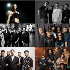Harlem festival develo su grilla